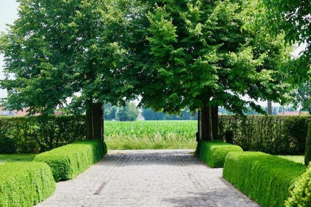 إيزيغيم B&B De Hulst المظهر الخارجي الصورة
